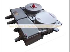 ลินช์ไฟฟ้าที่มีอัตราการเร่ง 153 1 และความจุในการยก 0.5 ตัน-100 ตัน